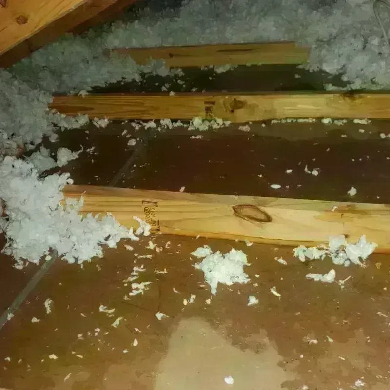 Attic Water Damage in York County, SC